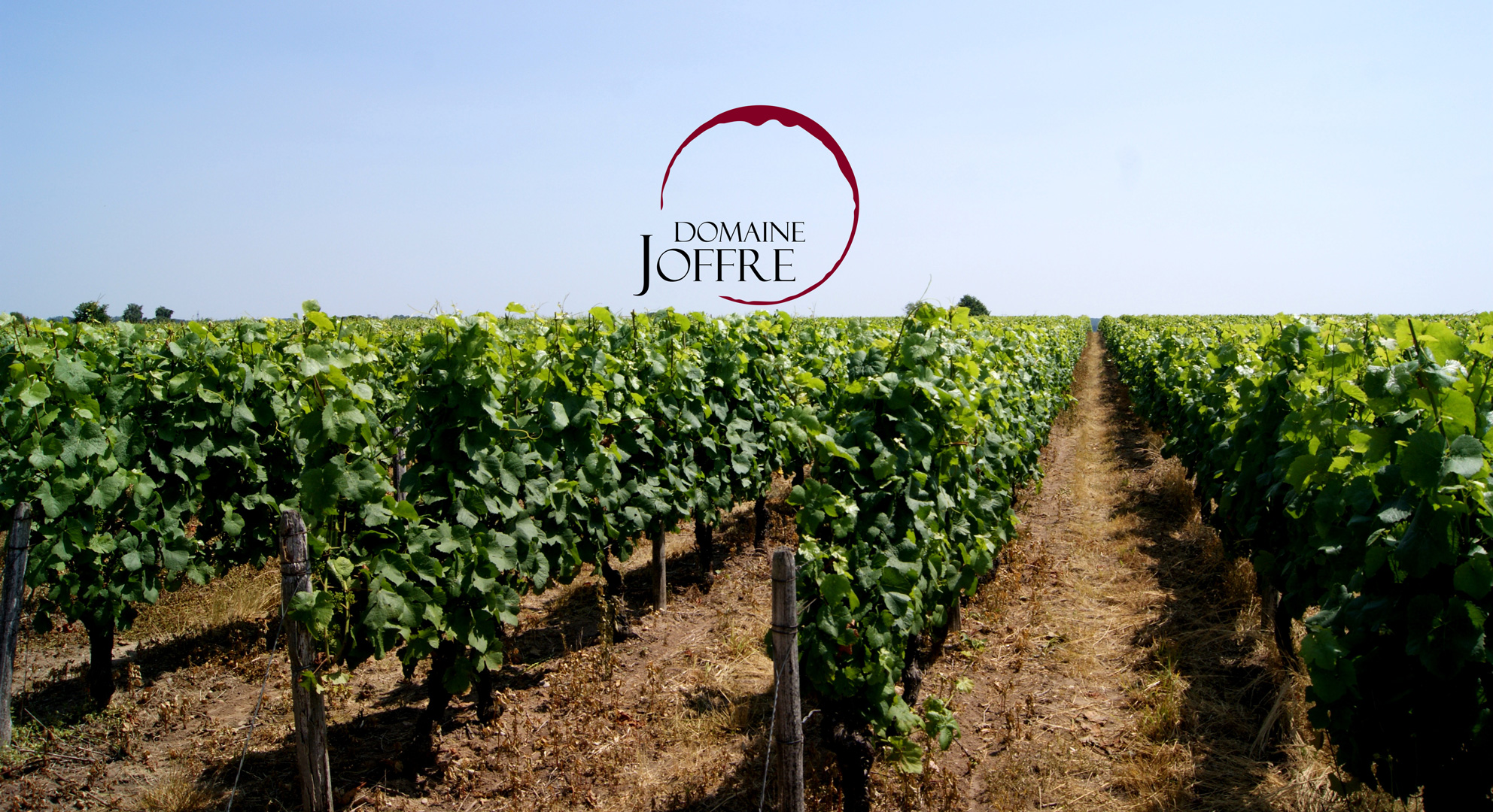 Domaine Joffre