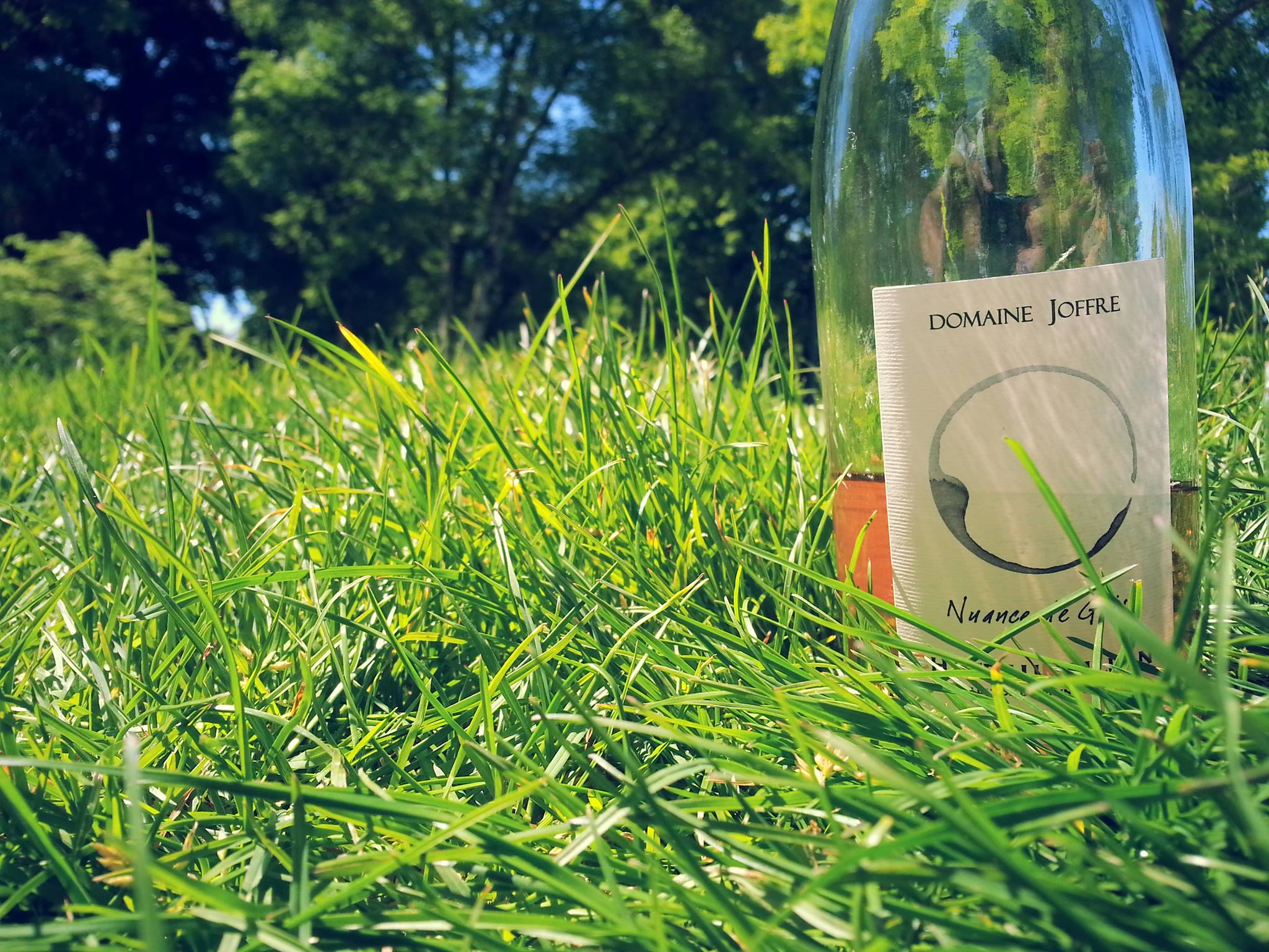 Domaine Joffre